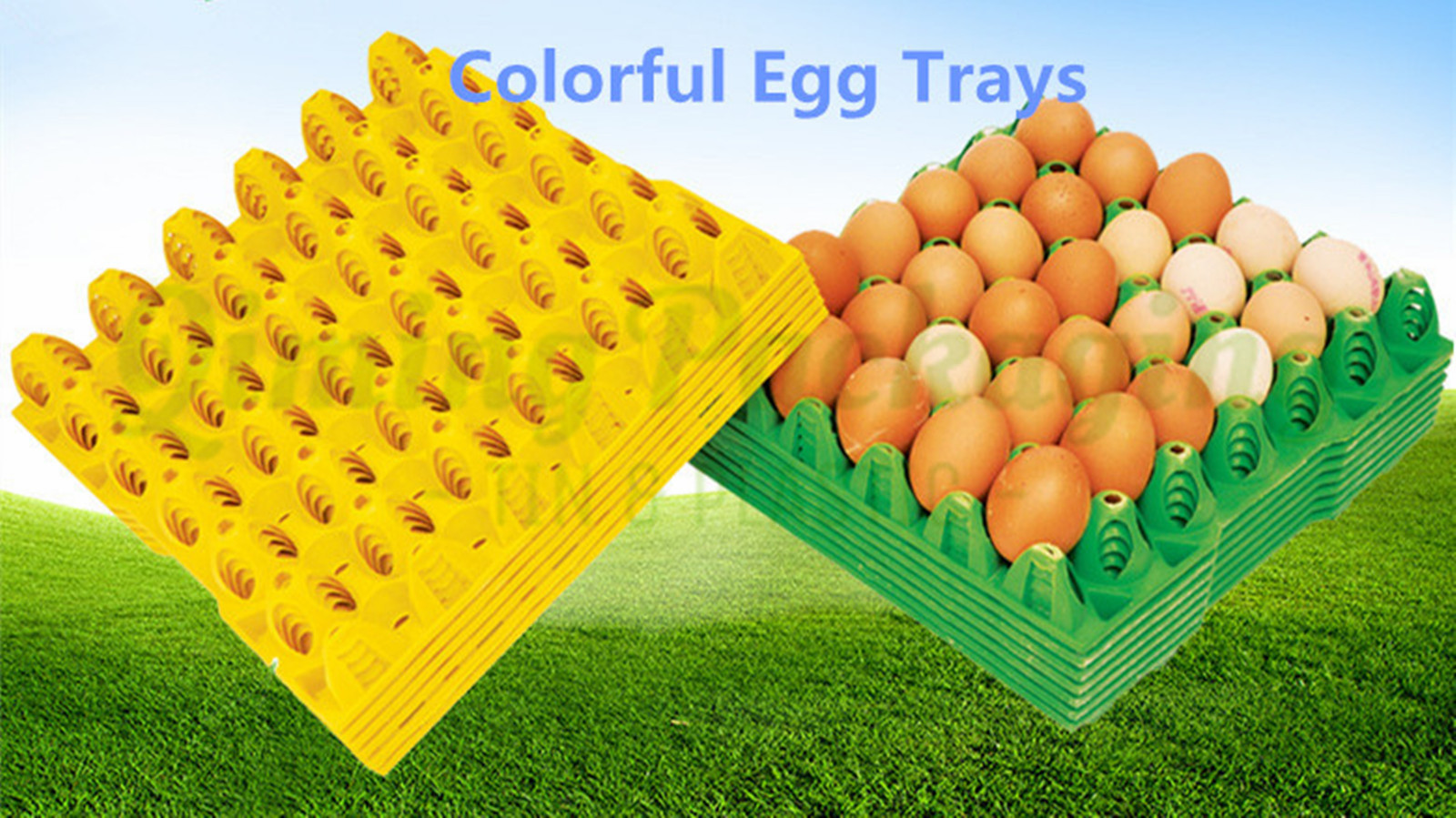 colorful egg trays