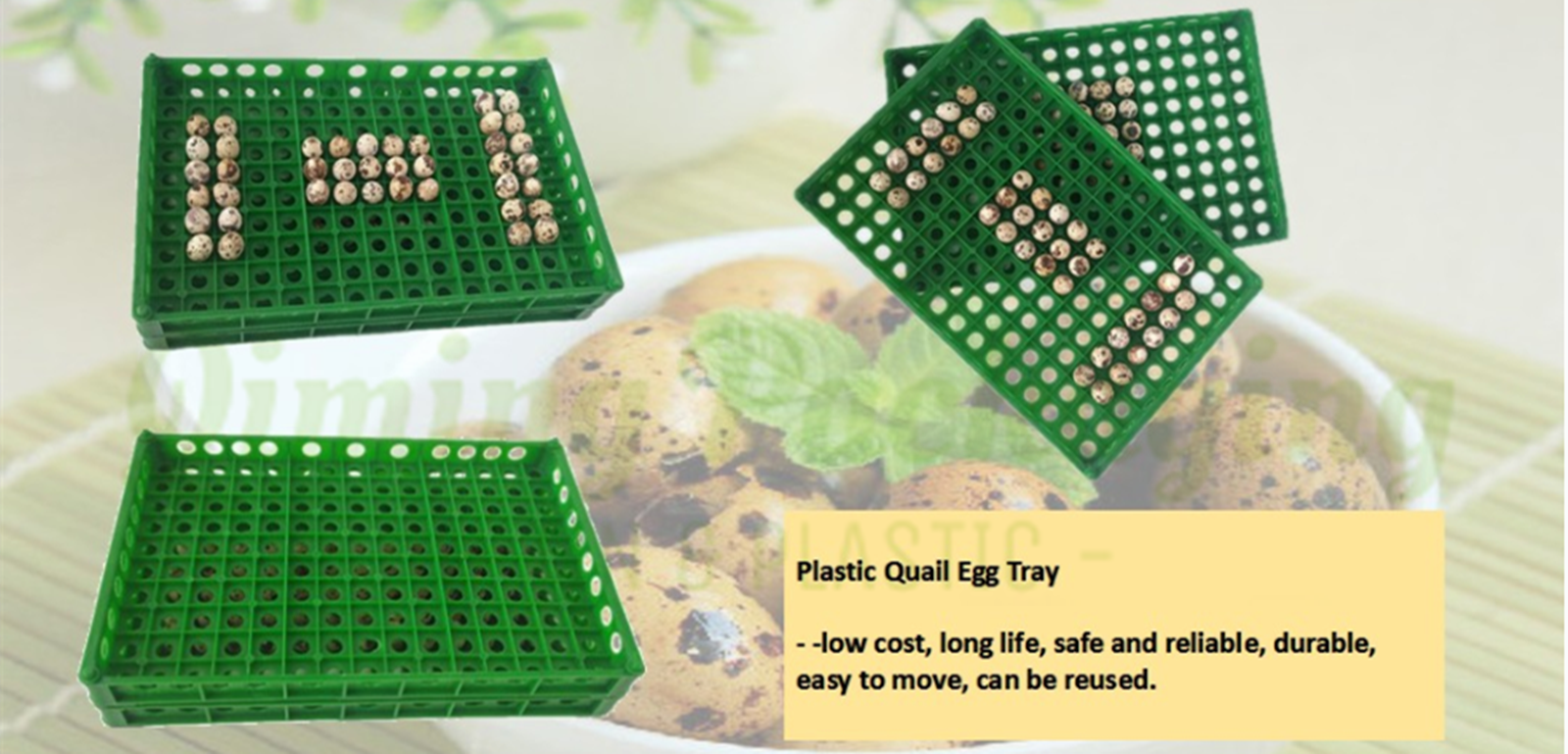 quail egg trays
